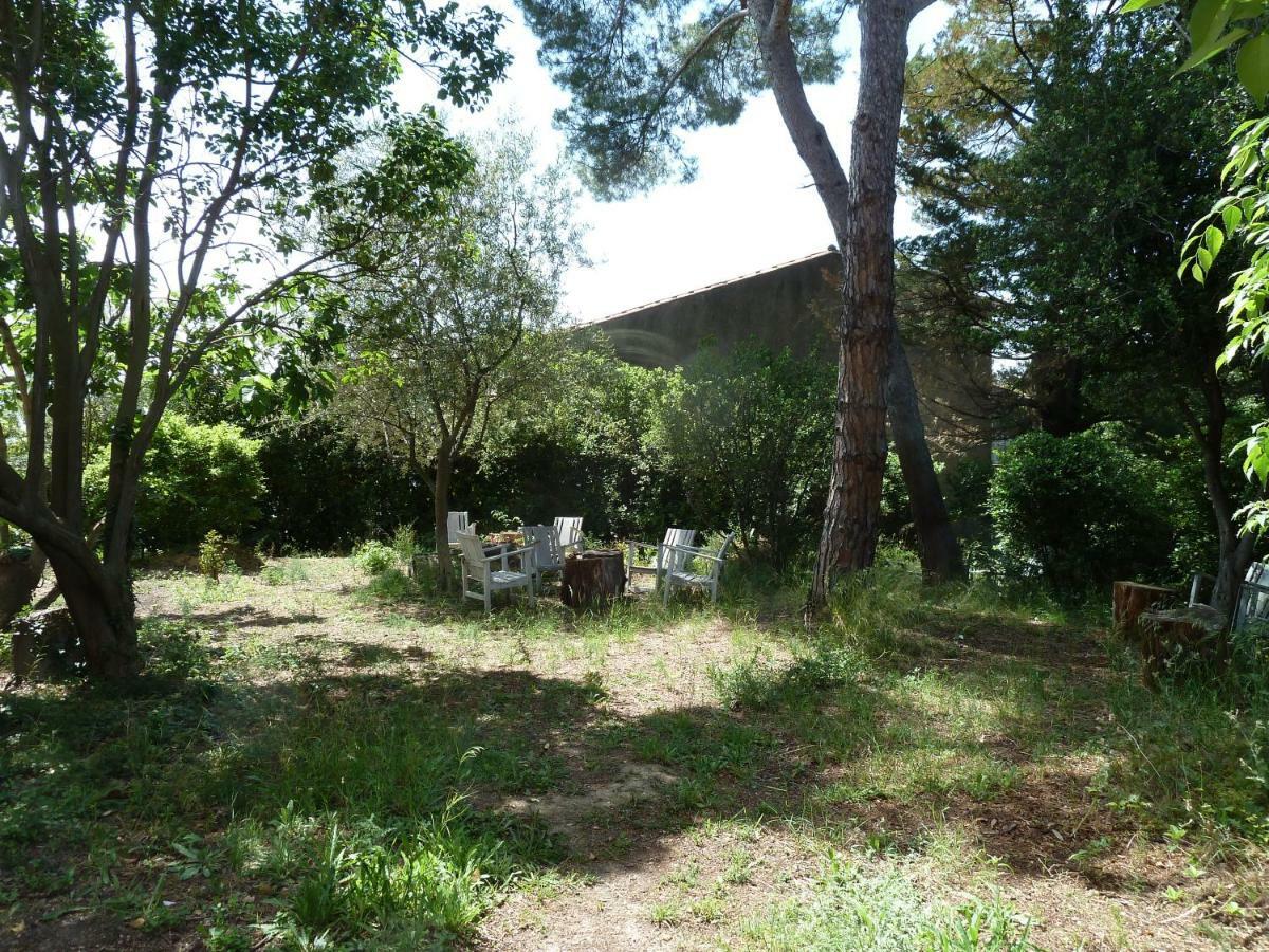 Maison Butterfly Bed & Breakfast Puissalicon Exterior foto
